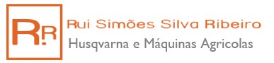 Rui Simões Silva Ribeiro